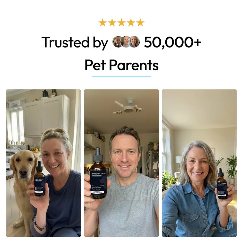 PawVanta™ Premium Liquid Collagen