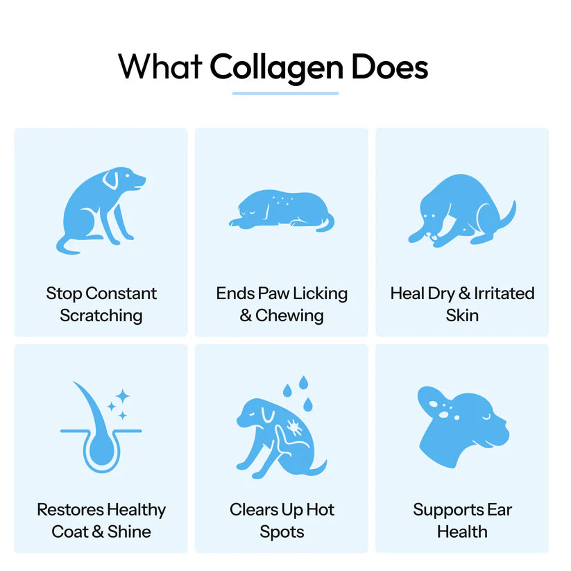 PawVanta™ Premium Liquid Collagen