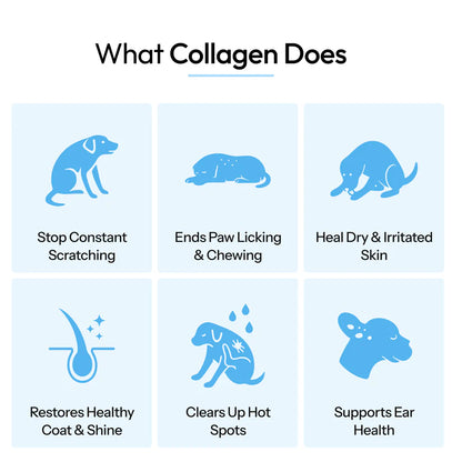 PawVanta™ Premium Liquid Collagen