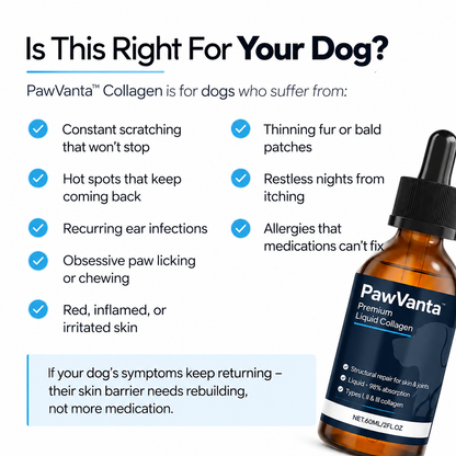 PawVanta™ Premium Liquid Collagen